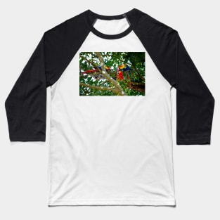 Grand perroquet, site de Copán Ruinas au Honduras Baseball T-Shirt